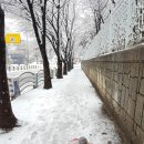 무열대유치원 이미지