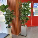 신기한약국 이미지