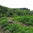 초월읍-2 이미지