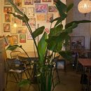 명동식당 이미지