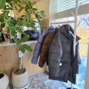 아체로1 이미지