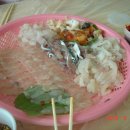 오색그린야드호텔 Daum카페