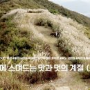 청양가설
