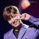 스타우스 이미지