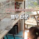 앵무타운 이미지