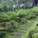 모텔다인 이미지