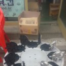 국화빵와플 이미지