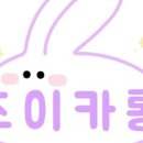 초이카롱 네이버블로그