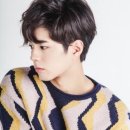 쉼표그린 이미지
