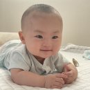 여름기저귀 추천 팸퍼스 엔젤 에어차차 썸머팬티 사용후기