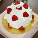 당산작업실 | 당산케이크맛집 브레드컴퍼니쉐프조, 딸기케이크 최고