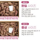 하루카 | 돌마리상회 베니하루카 고구마 후기