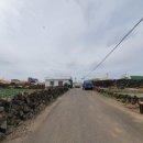 제주감사공인중개사사무소 이미지