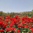 현대자동차 연지점 이미지