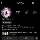 이레네 강아지 이미지