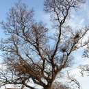 용호마을경로당 이미지