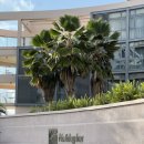 금강산카써비스 | [모리셔스 신혼여행] 인터컨티넨탈 리조트 발라클라바 후기 (+홀리데이 인 모리셔스)