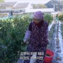 복연농장 이미지