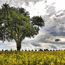 성모정신과의원 이미지