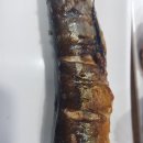 바락세꼬시 이미지