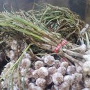 우신상회 이미지