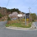 월계천2 | 전남 장성 함동(수양)저수지 주변 산들