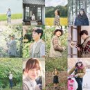 포레스트 이미지