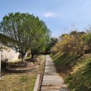 정월골프클럽 이미지