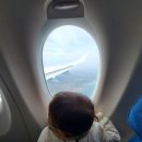 제주 호박 민박 이미지