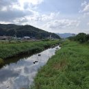 오수천2 티스토리
