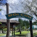 천사로목장 | 나트랑 판랑사막 투어 + 양떼목장 리뷰(feat. 여행천사 내돈내산)🏜️