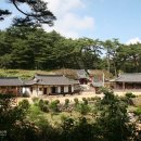 한국(181) | 국보181호 장양수 홍패