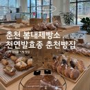춘천 퇴계동 빵집 봄내제빵소 | 천연발효종 저온숙성 춘천베이커리 추천