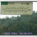 금천1리 마을회관 이미지