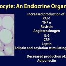 안드로겐 비의존성(호르몬불응성) 전립선암을 성장, 확산시키는 지방미세환경(adipose microenvironment) 이미지