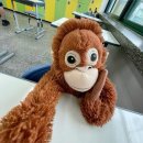 동피랑길 이미지