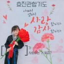 효진관 합기도 이미지