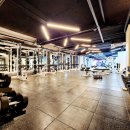 디자인율 이미지