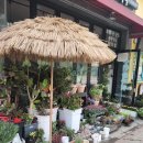 수연플라워 이미지