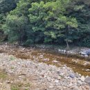 중앙여울펜션 이미지