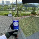 [캠핑후기🏕️🏕️] 한 여름 no그늘 no계곡,, 객기로 버틴 여름캠핑 / 제천 오가네캠핑장 후기