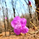 따스한봄날 이미지