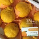 동근택배