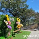 삼방천 이미지