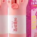 모르면 고생하는 2026 속초오징어난전 후기, 5월 정보 주차 명당 코스 종결