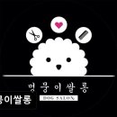 멍뭉이 쌀롱 네이버블로그