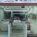 살롱드퍼피 이미지