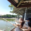 기린약국 | 3대 가족 &amp;사돈까지 함께했던 부모님 칠순기념 태국 방콕&amp;파타야 여행후기 (w.방콕 비오비)