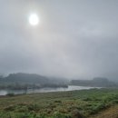 대강면 석촌마을 이미지