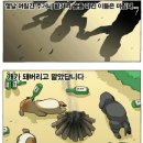 조아요